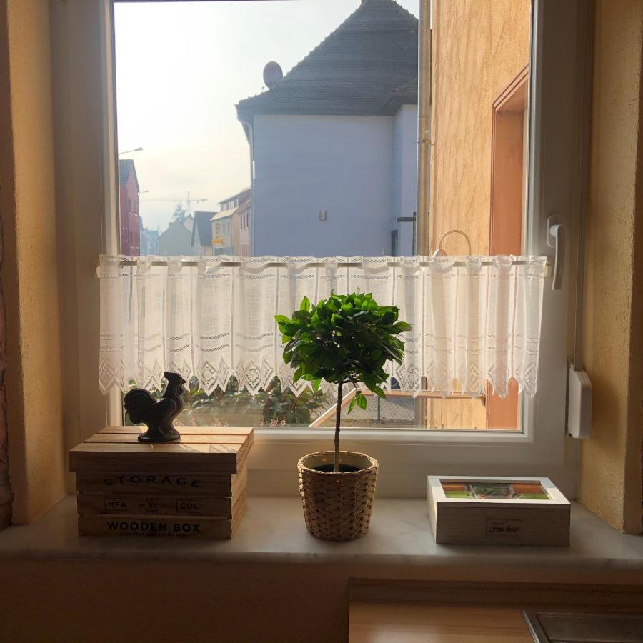 Gemuetliches Apartment Garden View Рамщайн-Мизенбах Екстериор снимка
