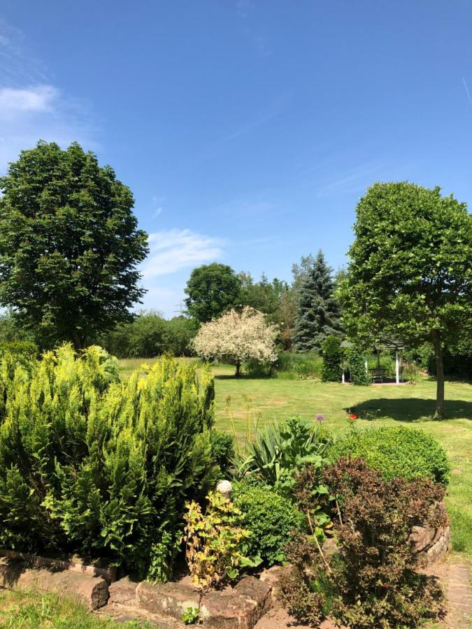 Gemuetliches Apartment Garden View Рамщайн-Мизенбах Екстериор снимка