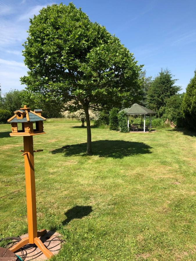 Gemuetliches Apartment Garden View Рамщайн-Мизенбах Екстериор снимка